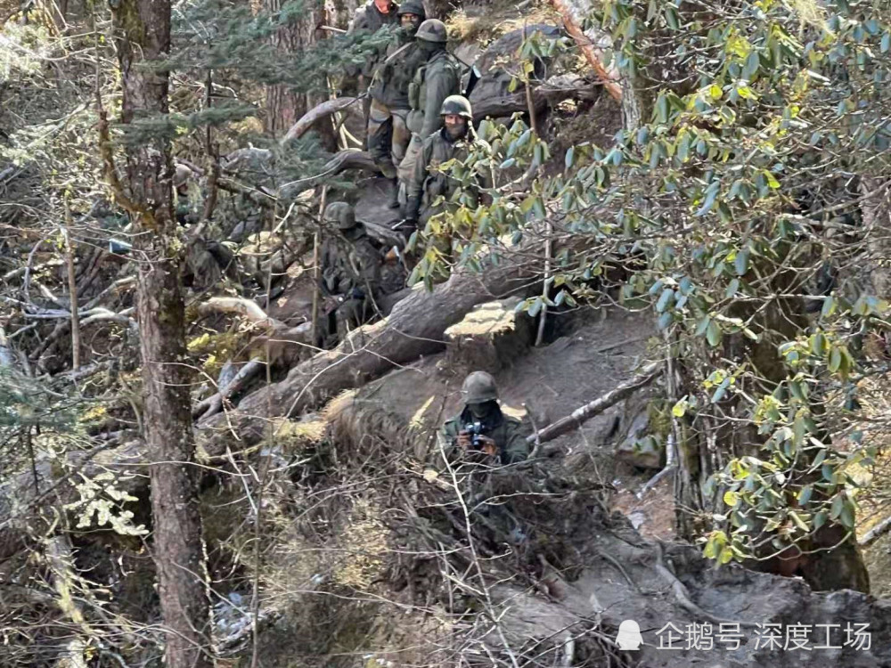 弱小国家出人意料,收获多个奖牌 弱小国家出人意料,收获多个奖牌